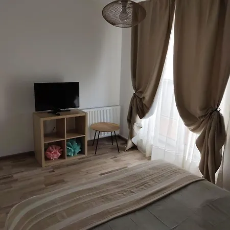 Апартаменти Studio Intim Ideal 4 Adulti Брашов